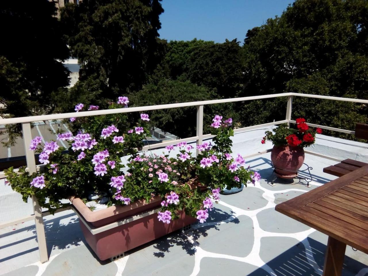 Park House -Beside The Medieval Town Of Rhodes Rhodes City Εξωτερικό φωτογραφία