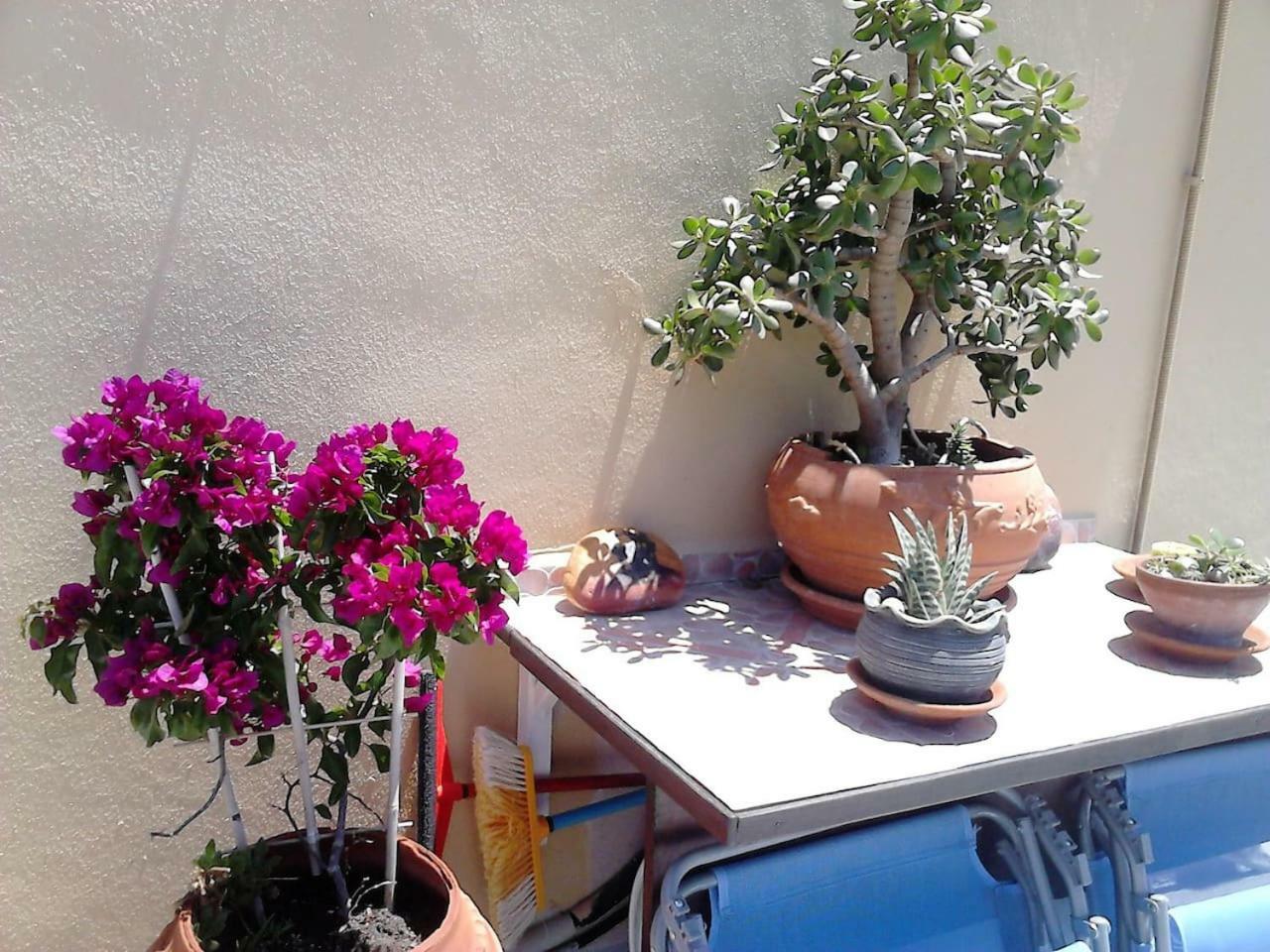 Park House -Beside The Medieval Town Of Rhodes Rhodes City Εξωτερικό φωτογραφία